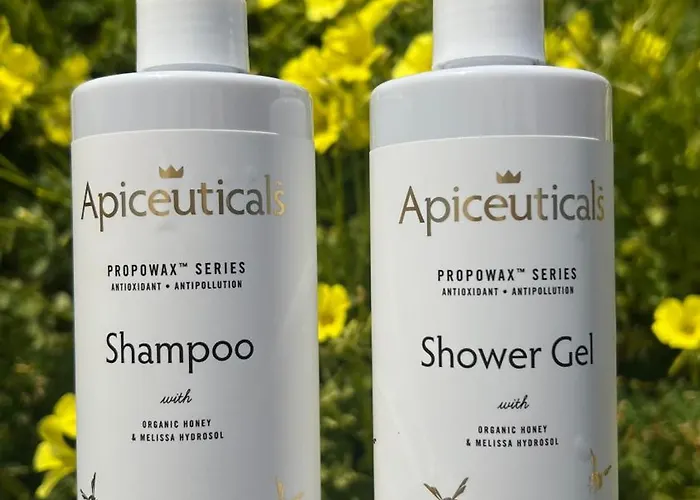 Aparthotel Thealos Azolimnos